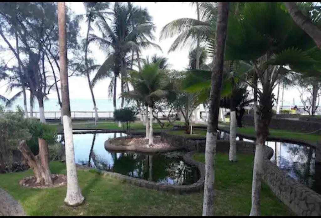  Um Lindo Lugar Para Desfrutar!