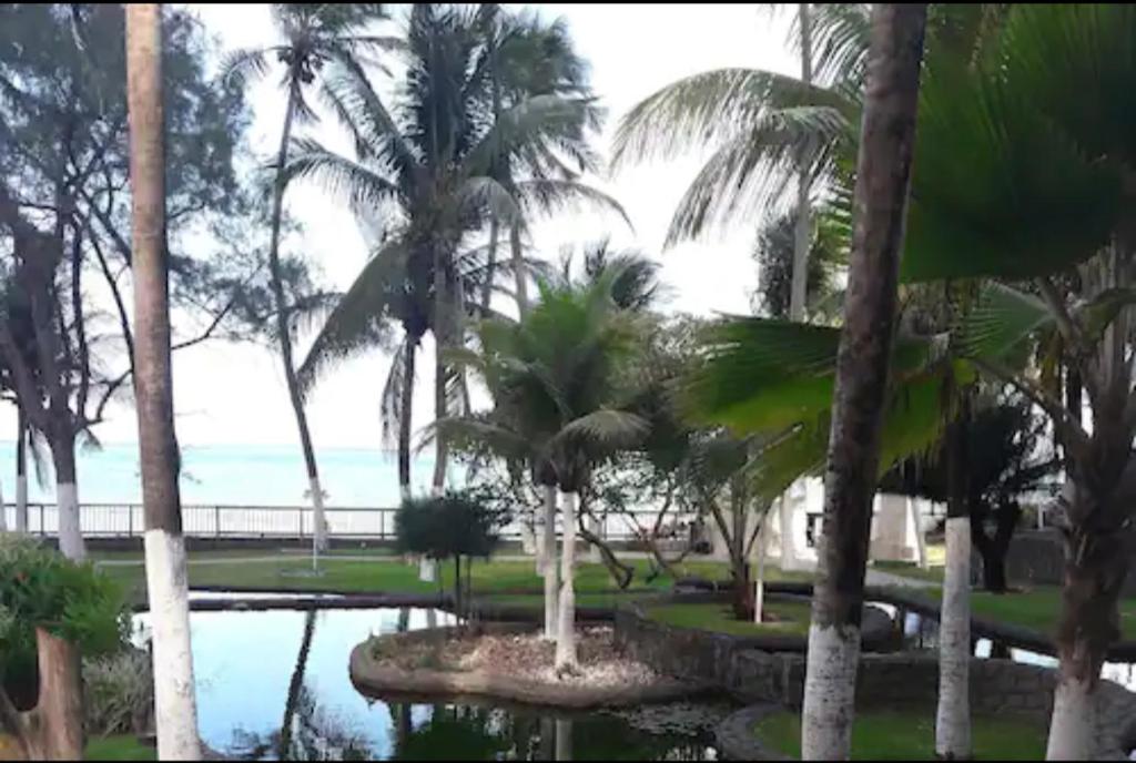 Um Lindo Lugar Para Desfrutar!