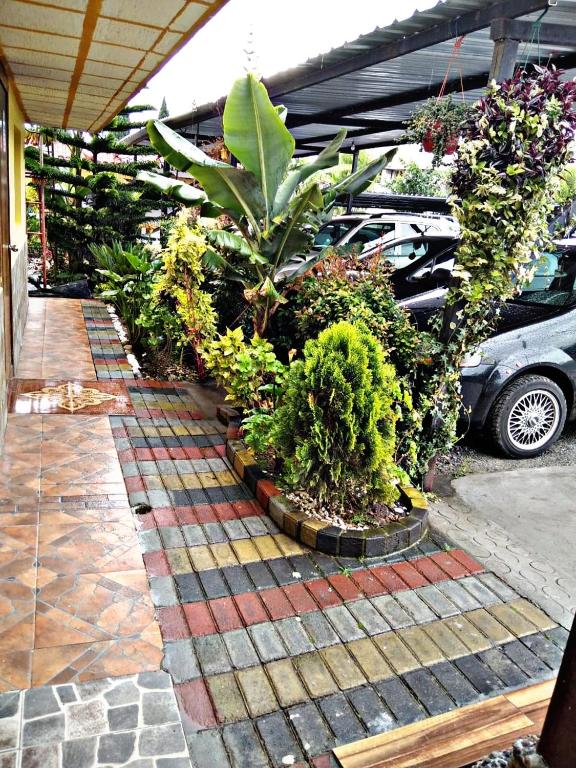 Zahrada ubytování Hostal Mariscal Sucre