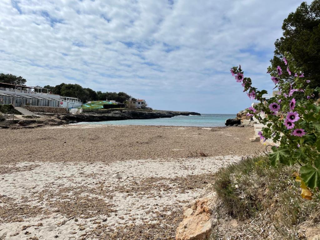 Es Canto, Cala Blanca – Updated 2023 Prices