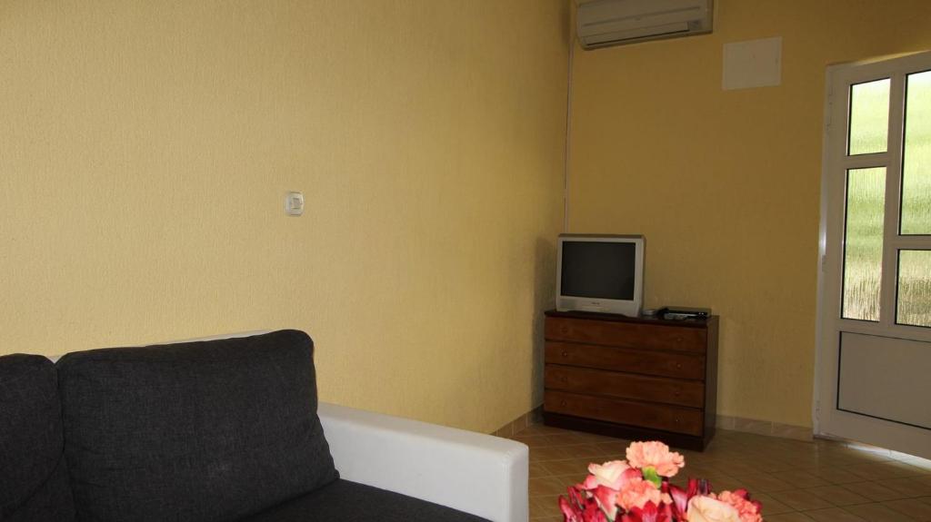 TV a/nebo společenská místnost v ubytování Apartments Gržetić