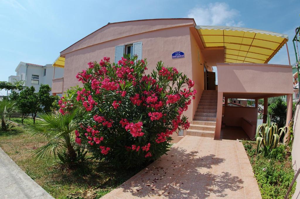 a bush of pink flowers in front of a building at Vila Montenegro in Dobra Voda