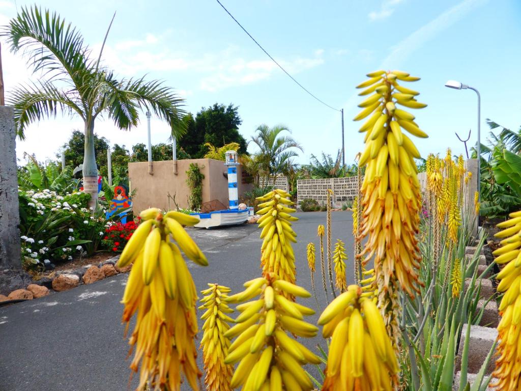Hotel Rural El Navío - Adults Onlyにある庭