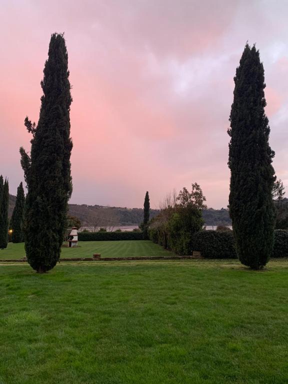 a group of trees in a grassy field at Agriturismo Le Grotte in Nemi