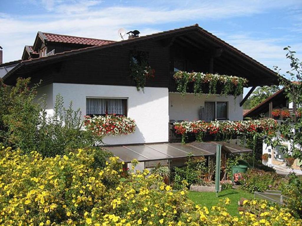 uma casa com caixas de flores ao lado dela em Ferienwohnung Weindl Lucia em Kollnburg
