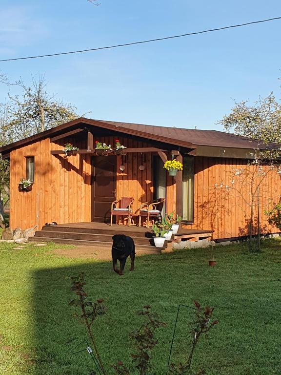 Ein schwarzer Hund steht vor einem Haus. in der Unterkunft AUSMAS in Strenči