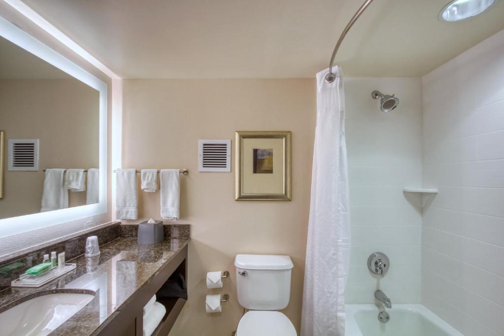 Holiday Inn & Suites Atlanta Airport North, an IHG Hotel - Chambre King Standard