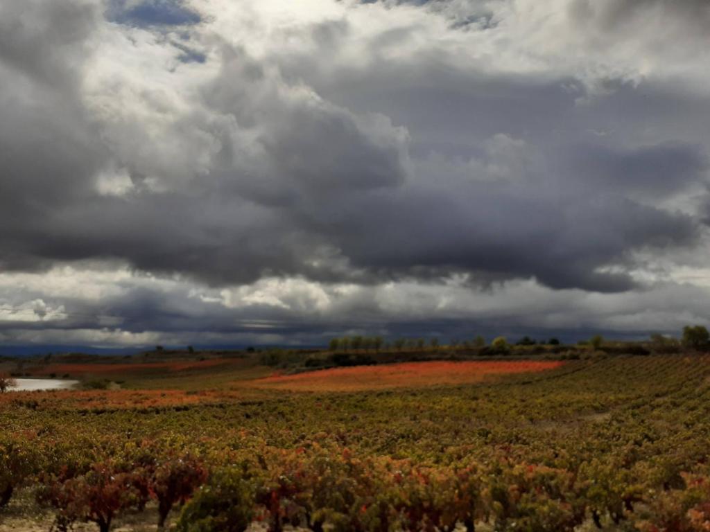 Paisaje cerca of this country house