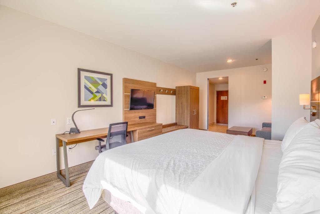 a bedroom with a bed and a desk and a television at Holiday Inn Express Hotel & Suites Gulf Shores by IHG in Gulf Shores