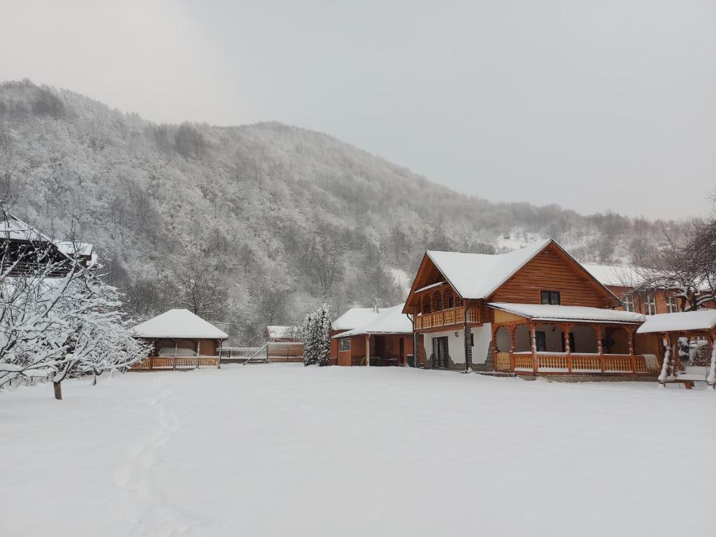 una casa ricoperta di neve di fronte a una montagna di Casa Nova a Vişeu de Sus