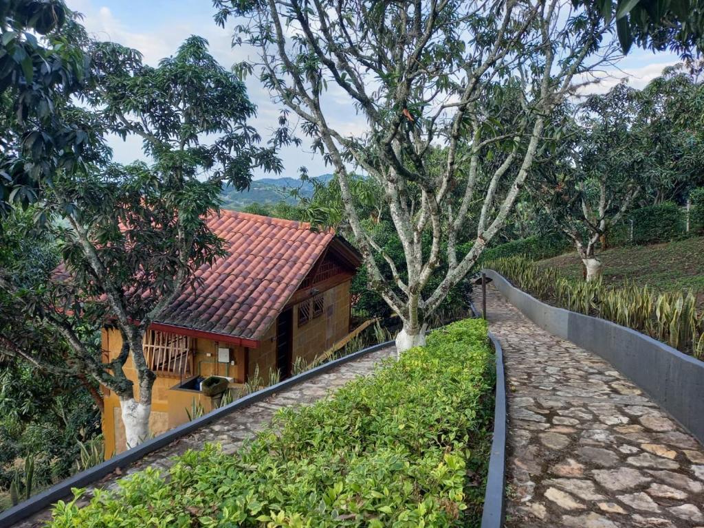 une maison avec une passerelle à côté d'un bâtiment dans l'établissement ECOCABAÑAS SAN PEDRO, à Anapoima