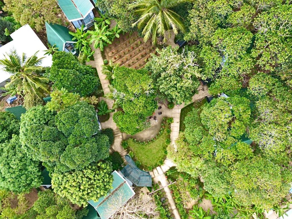 an overhead view of a garden with trees and bushes at Homestay De la Rosa - Côn Đảo in Con Dao