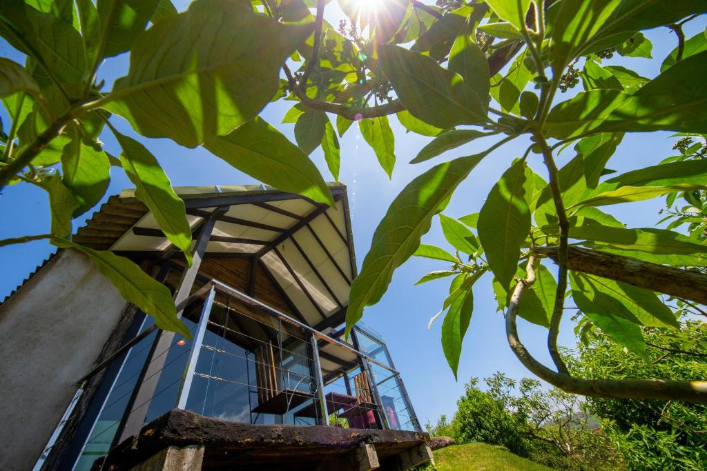 una casa sull'albero con il sole che splende tra le foglie di The Plains Green a Ambawela