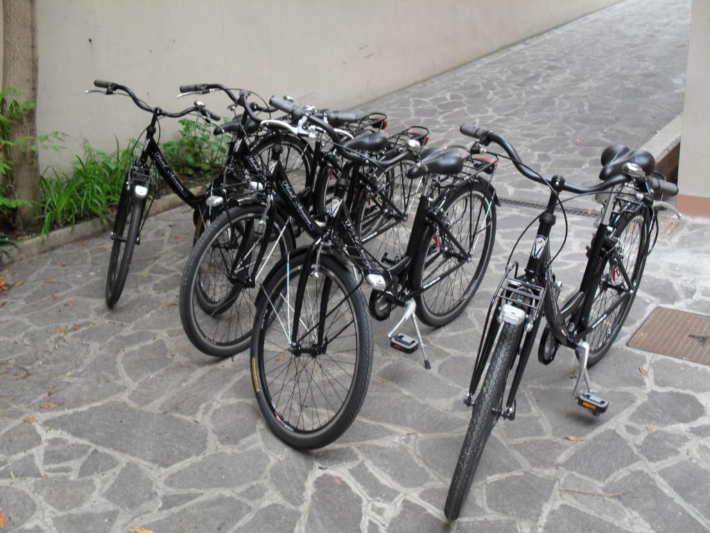 Jízda na kole v ubytování Hotel Azzurra nebo okolí