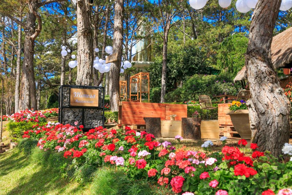 Zahrada ubytování TTC Dreamy Hill Resort - Unlimited Access to TTC World - Thung Lung Tinh Yeu