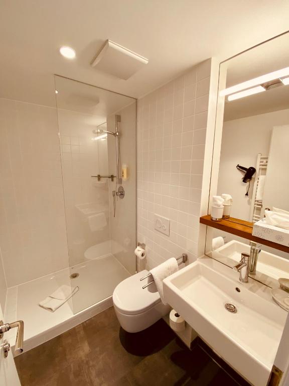 Stadthotel Waldhorn - Habitación Doble Confort