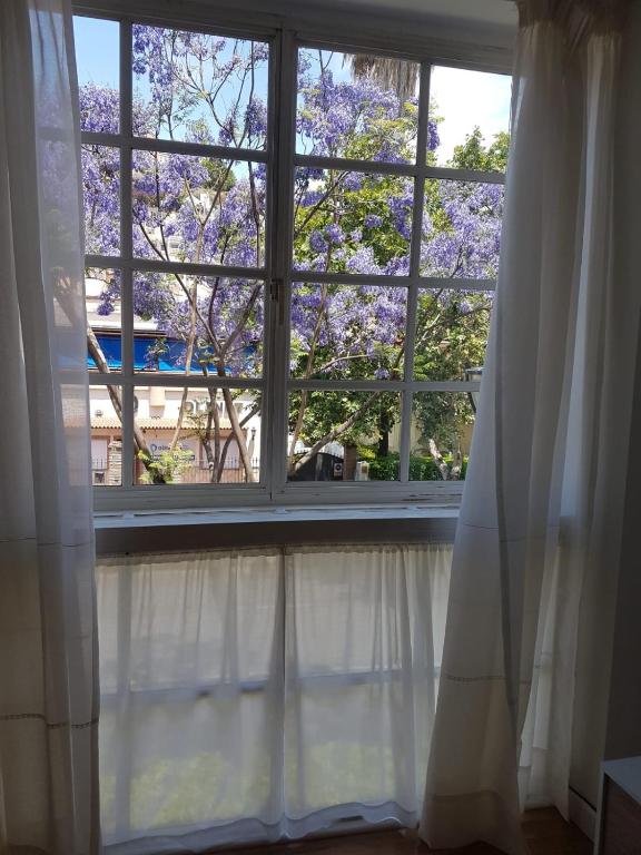 Vonkajšia záhrada v ubytovaní BOLIVIA beach apartments
