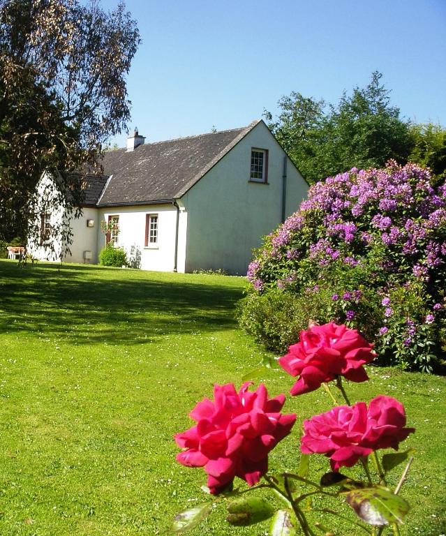 Clonmoylan - Rose Cottage