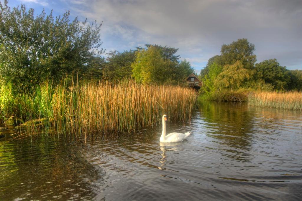 Clonmoylan - Rose Cottage