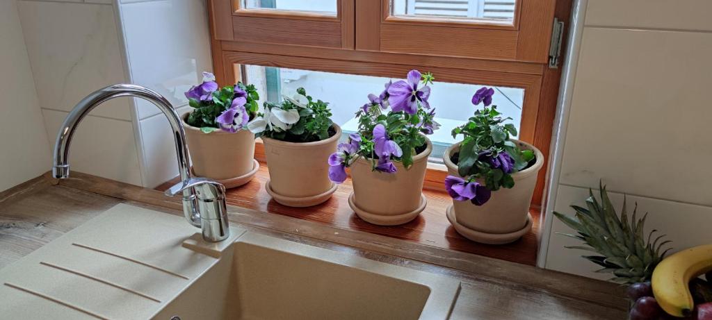 Apartment City Center - 12