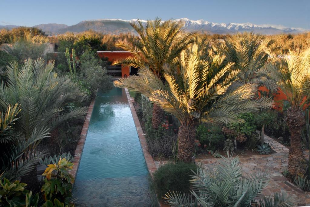 an aerial view of a pool in a garden with palm trees at Dar al Hossoun in Taroudant