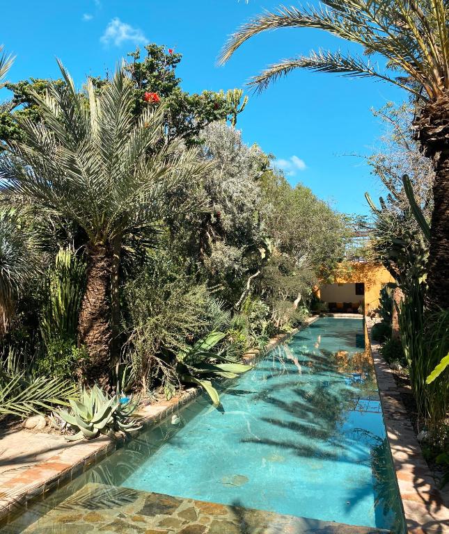 a swimming pool in a garden with palm trees at Dar al Hossoun in Taroudant
