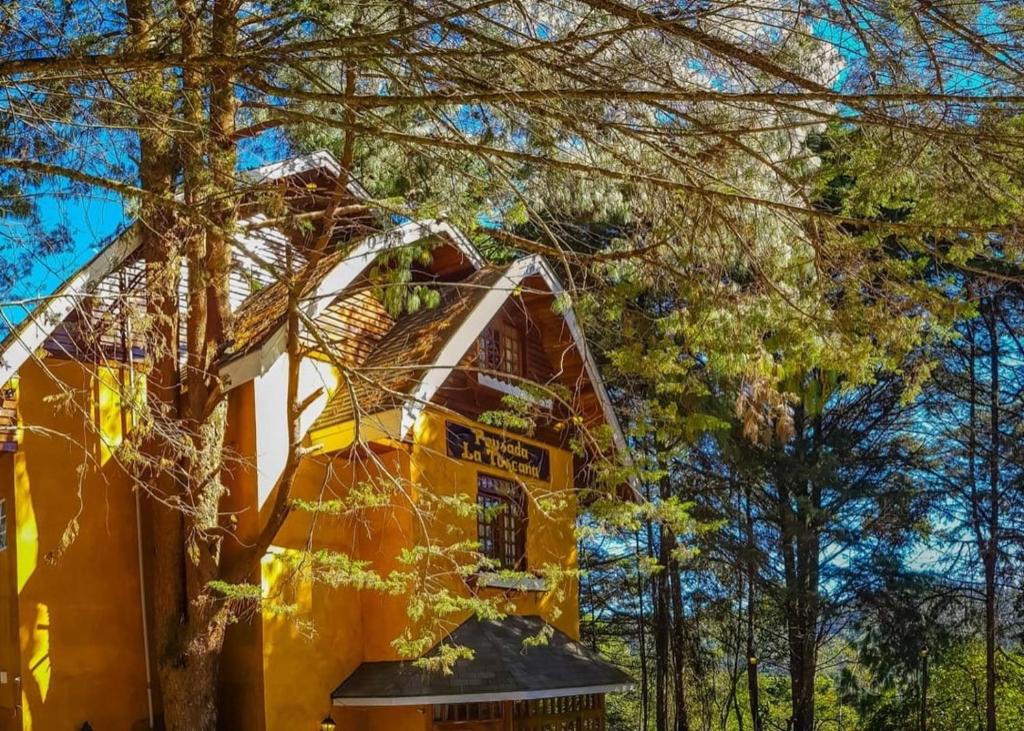 uma casa amarela com árvores em frente em Pousada La Toscana Campos do Jordão em Campos do Jordão