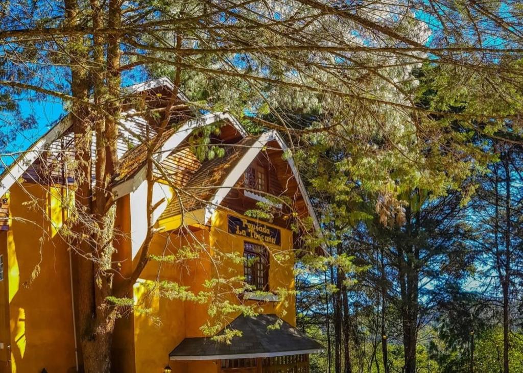 una casa amarilla con árboles delante de ella en Pousada La Toscana Campos do Jordão, en Campos do Jordão