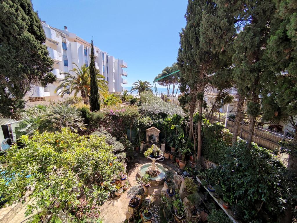 Zahrada ubytování PISO PLAYA ALCOSSEBRE