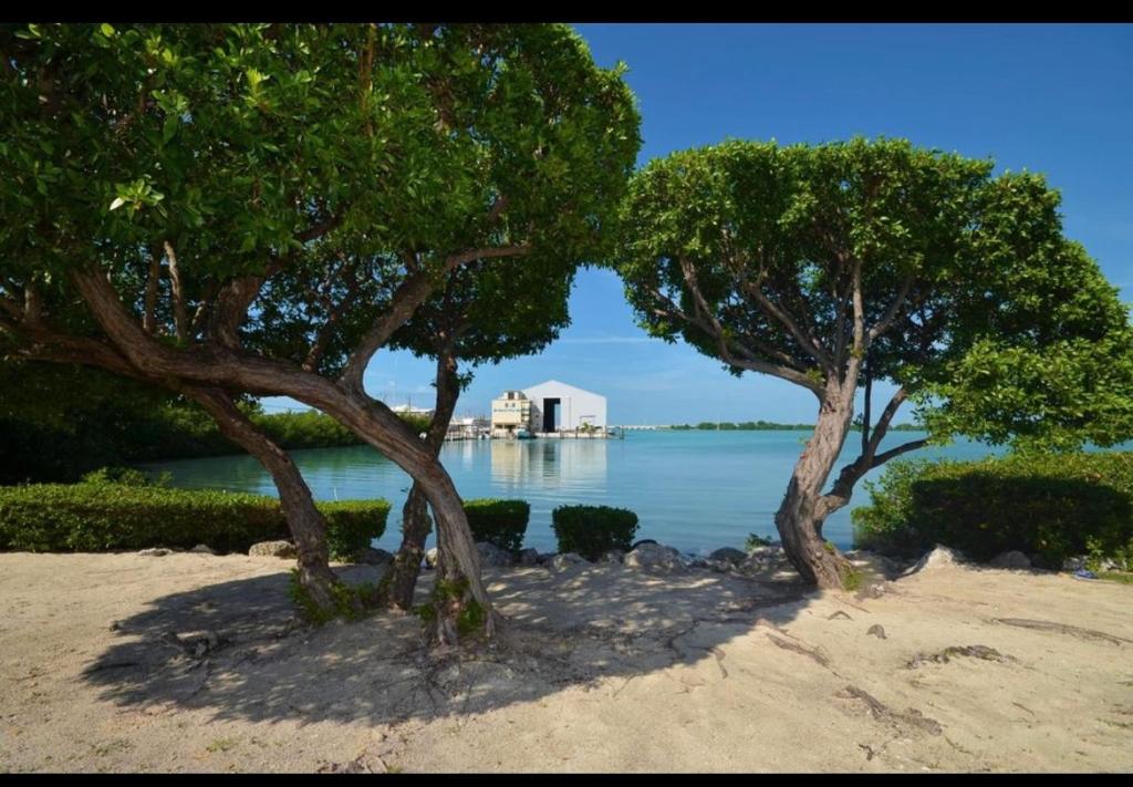Driftwood Villas