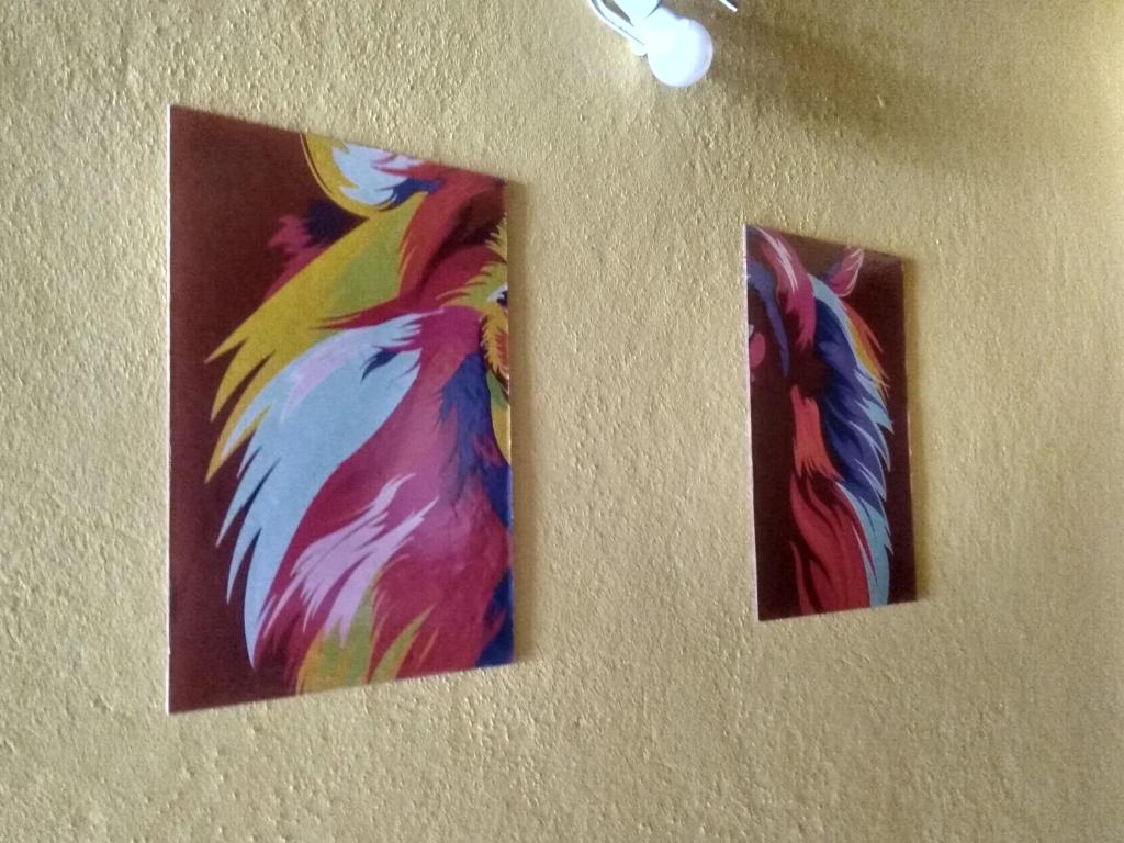  Hostel Família Maluca SP