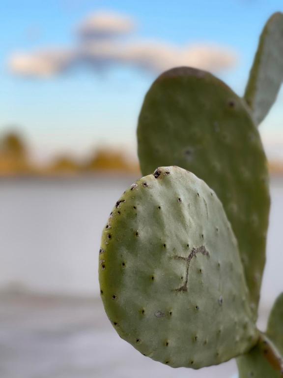 Fotografie z fotogalerie ubytování Tenuta Ermes v destinaci Ostuni