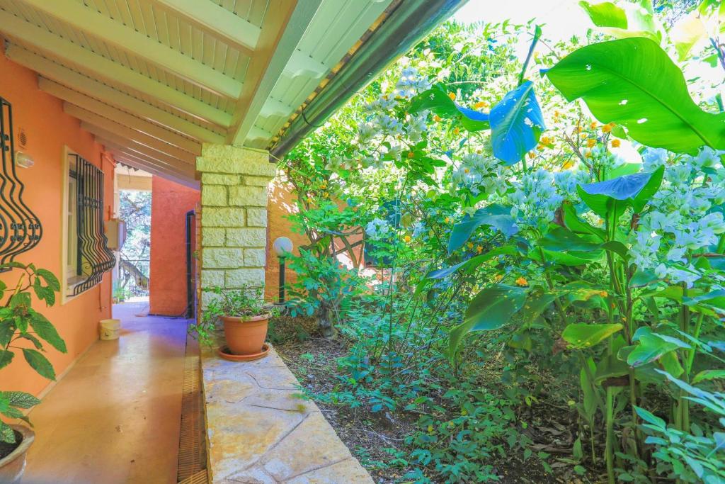 A garden outside SeaView Calypso
