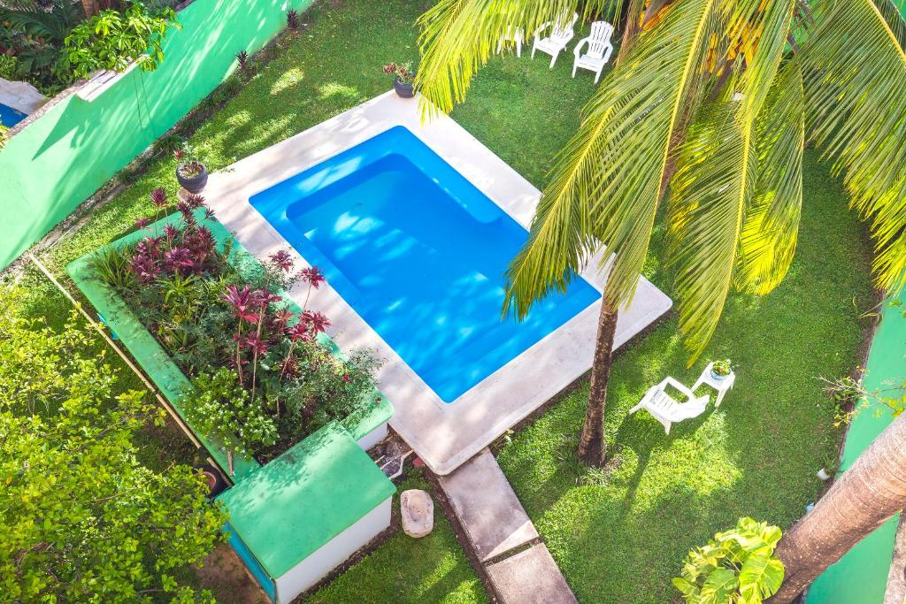 einen Blick über einen Pool im Garten mit einer Palme in der Unterkunft Hotel Kiin Cozumel in Cozumel