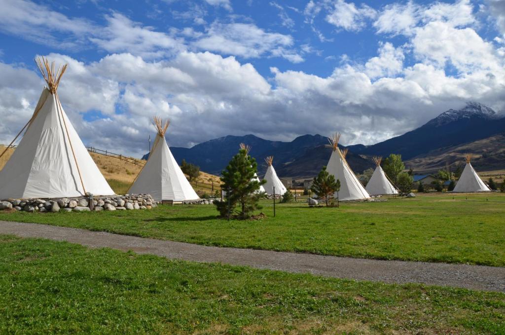 a group of white tents in a field with mountains at Dreamcatcher Tipi Hotel in Gardiner