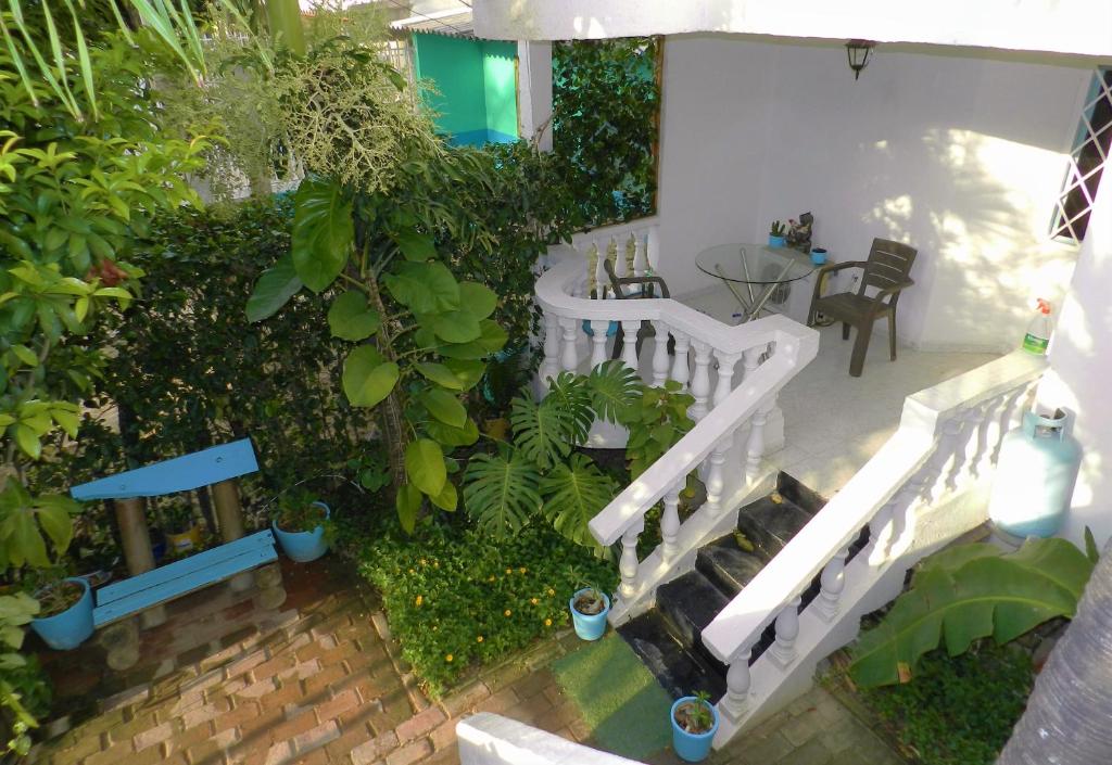 vistas a un jardín con escaleras y plantas en Casa San Sebastian, en Santa Marta