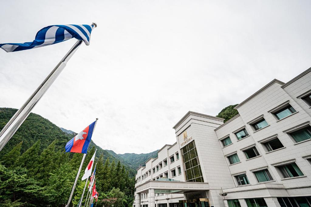 un hotel con banderas frente a un edificio en Hotel Geumosan en Gumi