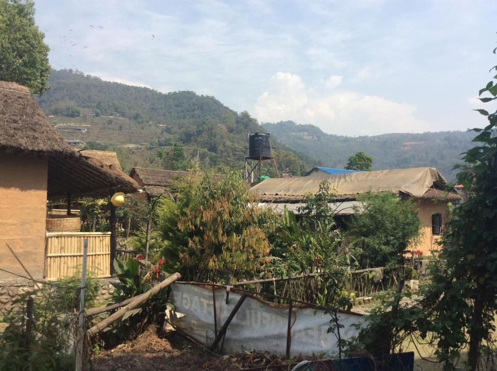 Phong cảnh thiên nhiên gần nhà nghỉ nhỏ