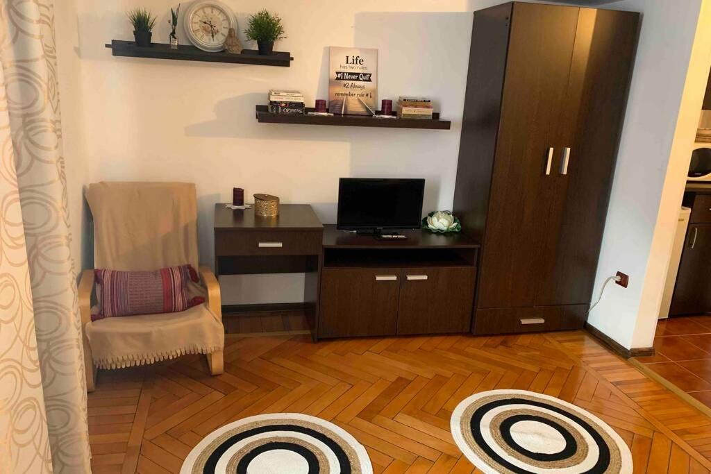 Cozy Studio in the heart of Bucharest - One-Bedroom Apartment