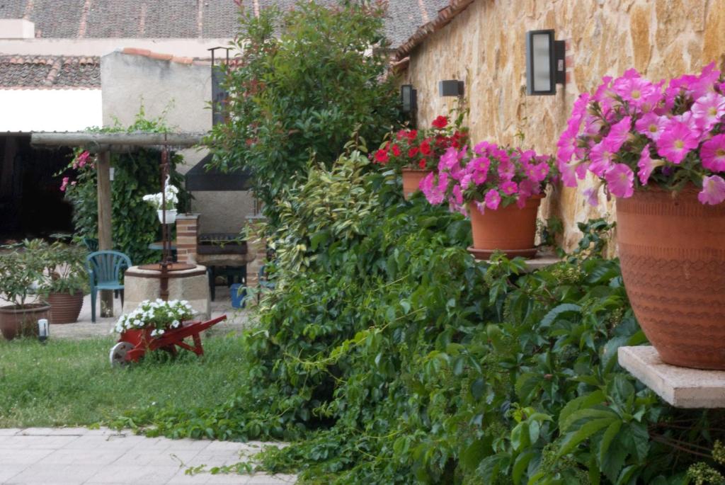 um jardim com flores em vasos ao lado de um edifício em Villa Don Juan II na Segóvia