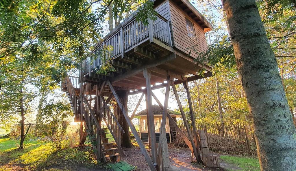 a tree house in the middle of a forest at Het Kleine Paradijs in Easterein