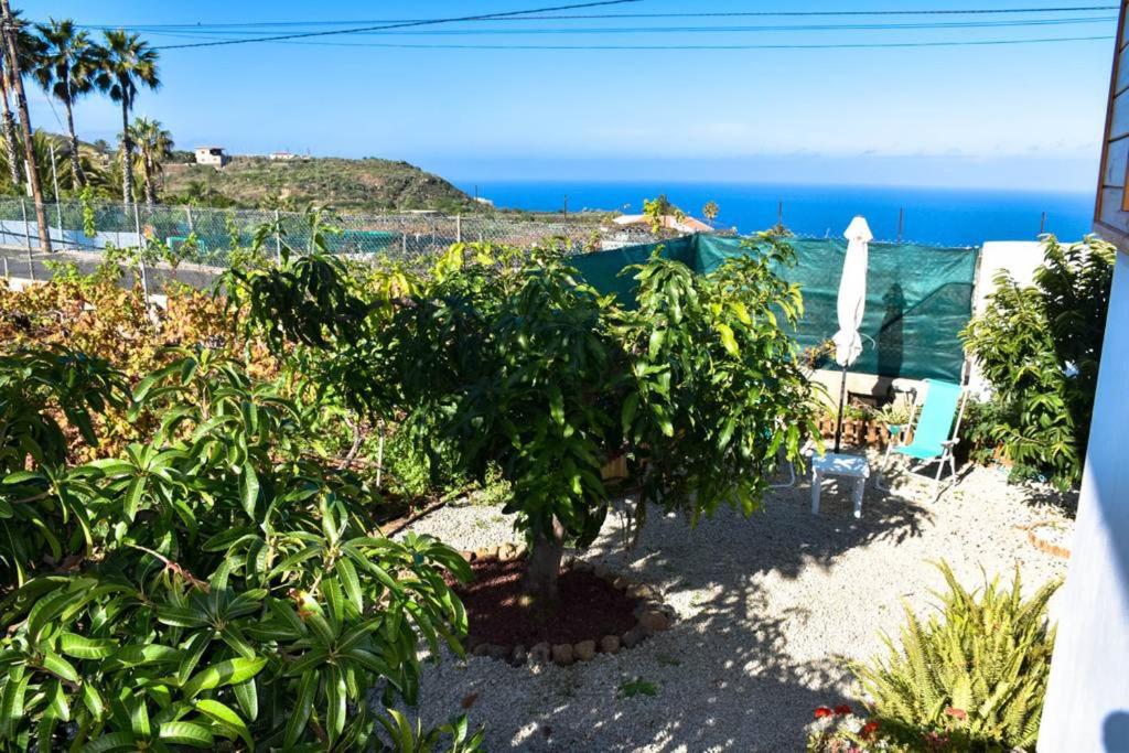 Gallery image of 2 bedrooms house with sea view enclosed garden and wifi at Icod de los Vinos 2 km away from the beach in Icod de los Vinos