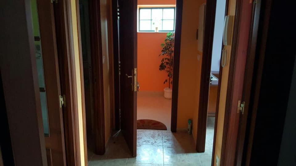an open door to a room with a potted plant at Piso cerca de la playa in Cerceda