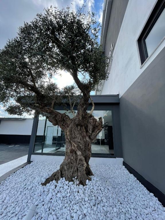 Fotografia z galérie ubytovania Hotel Cristian v destinácii Giugliano in Campania
