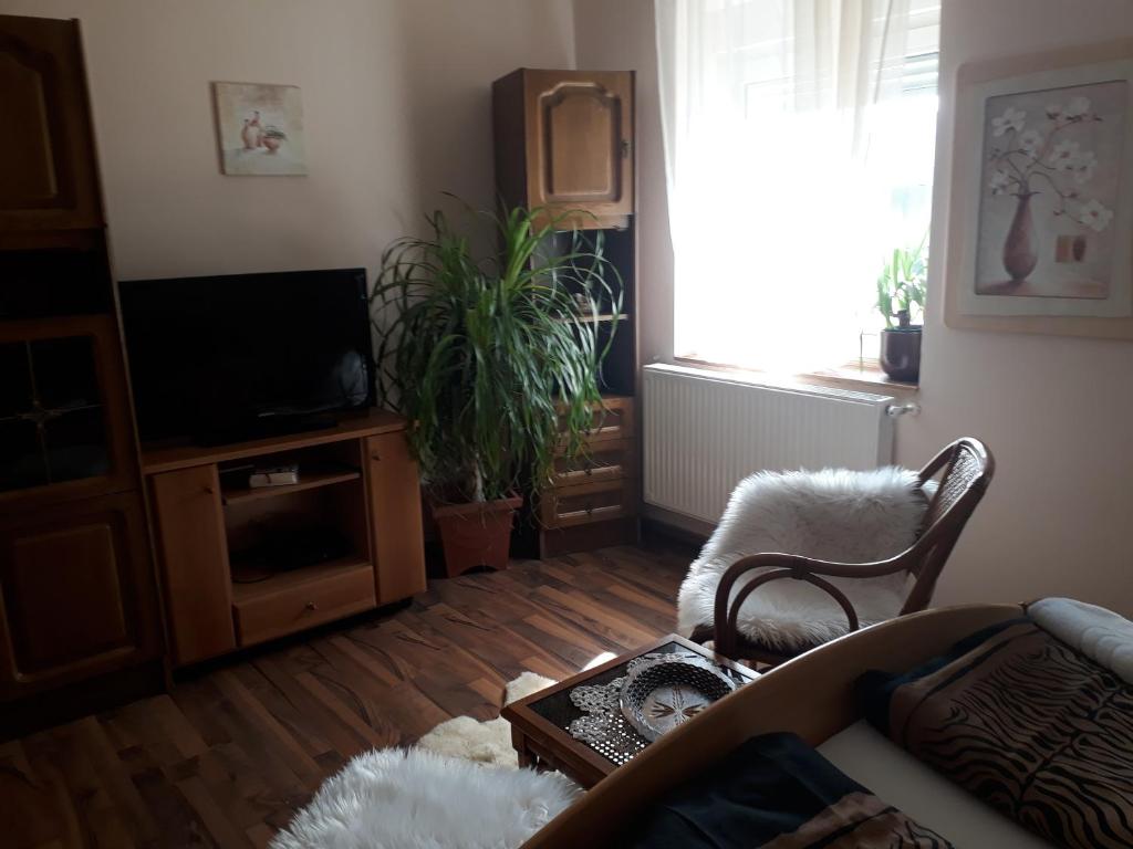 Zdjęcie z galerii obiektu City Camping& Apartman &Bungalow w Győr