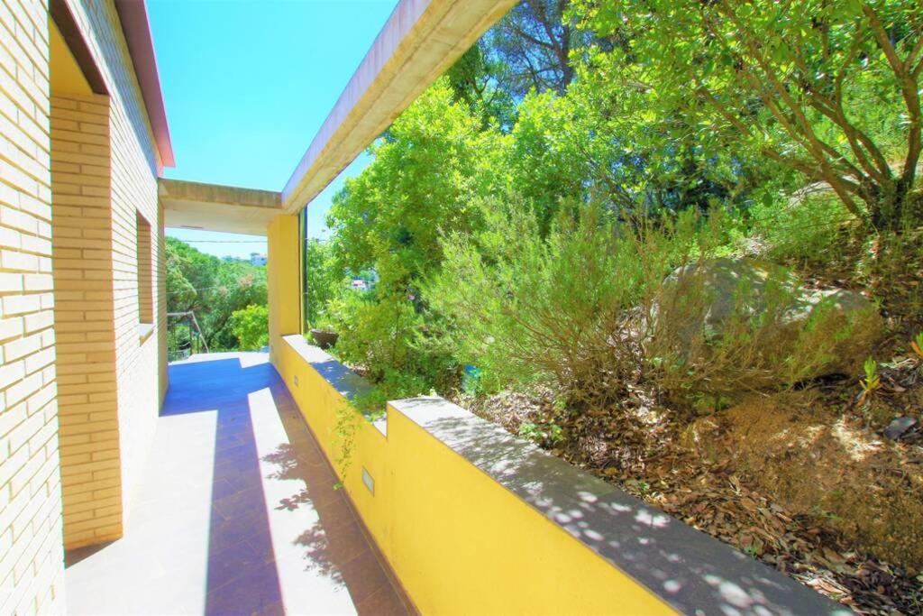 Vonkajšia záhrada v ubytovaní V&V LLORET- Villa Nicole
