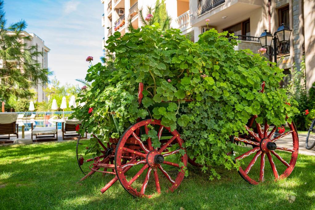 Zahrada ubytování Menada Apartments in Cascadas