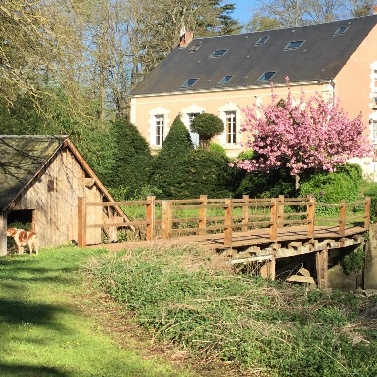 Zahrada ubytování Domaine du moulin de la plaine - L'île Ô Reflets