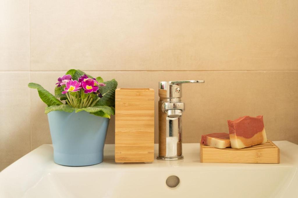 a bathroom sink with a flower pot and a faucet at PURA B&b in Noicattaro