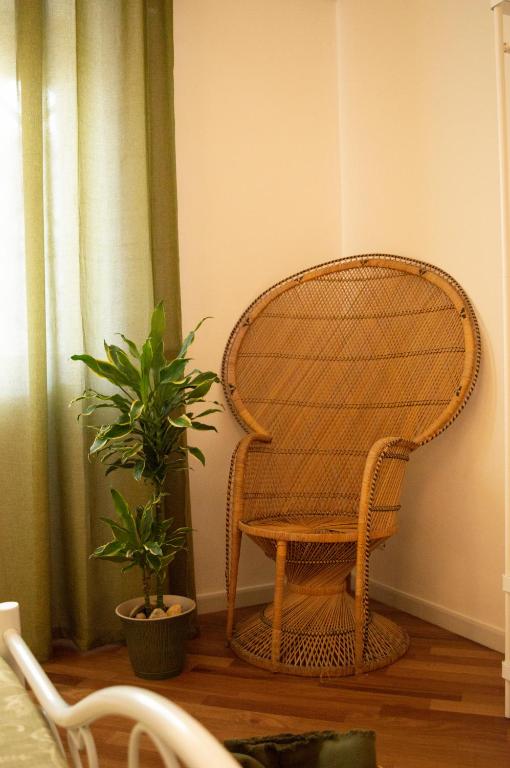 a rattan chair in a room with a plant at PURA B&b in Noicattaro